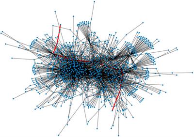 Can Lightning Network’s Autopilot Function Use BA Model as the Underlying Network?